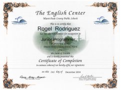 junior programmer